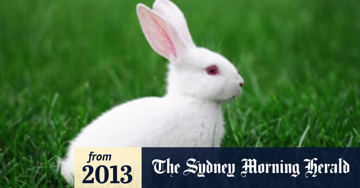 L'Oreal buys back into tests on animals